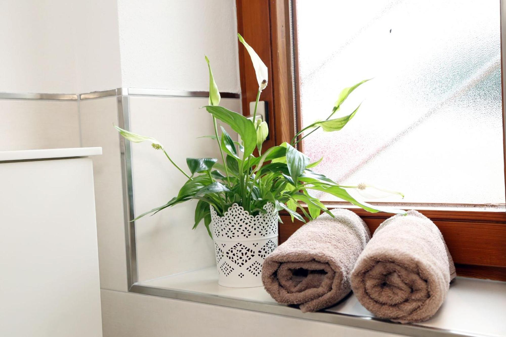 Appartement Schwarzwaldstueble Oberharmersbach Buitenkant foto