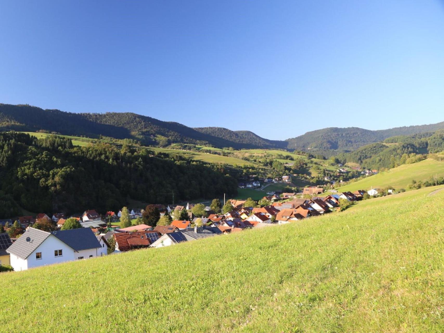 Appartement Schwarzwaldstueble Oberharmersbach Buitenkant foto