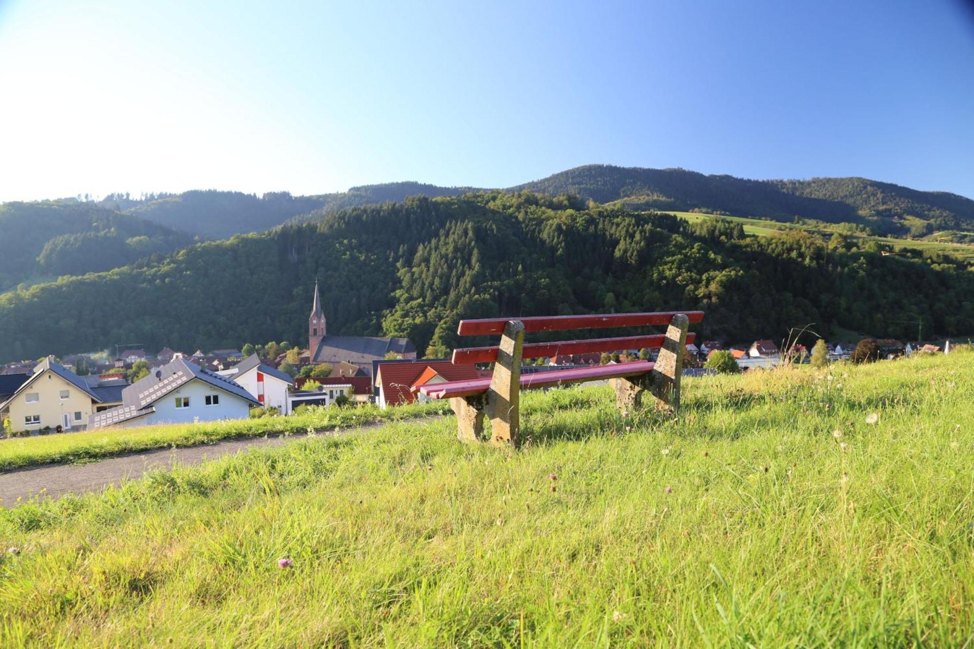 Appartement Schwarzwaldstueble Oberharmersbach Buitenkant foto